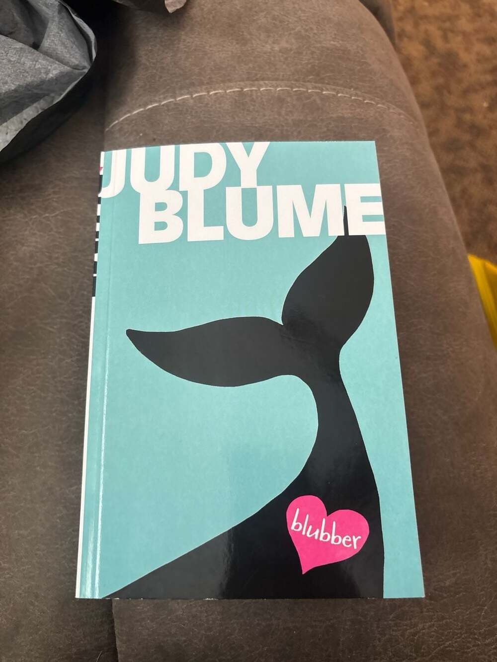Lot of 3 Judy Blume paperback books: Blubber, Deenie and Then again, maybe I won